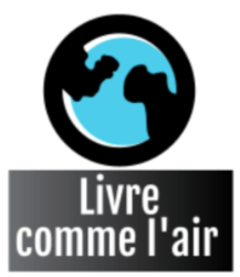 Votre histoire, c'est votre roman